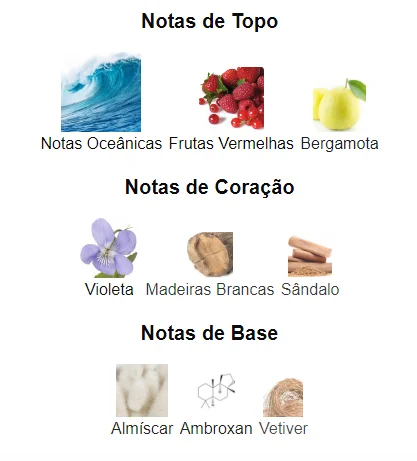 Pirâmide Olfativa (Perfume Inspirado)